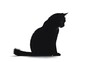 © JorgeL - Silhouette of a feline friend: domestic shorthair cat sitting on a white background looking down