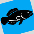 © Brandon - fish on blue and gray background