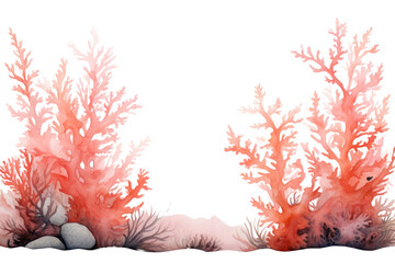 Wall Mural - png outdoors nature sea underwater.