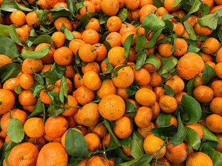Fototapete - Pile of santang oranges or shantang tangerines at supermarket stall