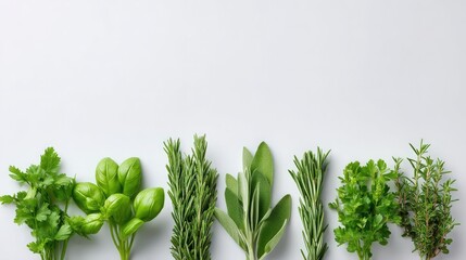 Poster - Vibrant Assortment of Fresh Green Herbs on a Light Background