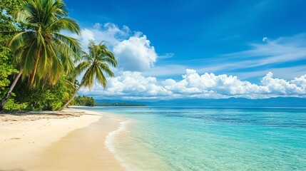 Wall Mural - A beautiful beach scene features palm trees and crystal-clear water. It’s a classic tropical paradise.
