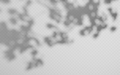 Wall Mural - abstract shadow overlay from foliage on a transparent background.