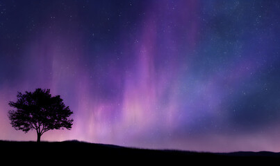 Wall Mural - a tranquil night sky, a lone tree silhouette on a hill under the sky, magical and serene atmosphere, dreamy and quiet-generative ai
