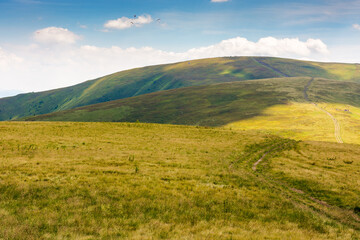 Wall Mural - green mountain landscape with trail for hiking. vacation season. path through nature hill to the top