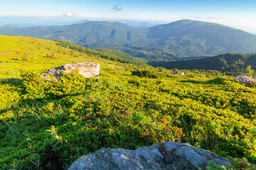 Wall Mural - scenic view of alpine landscape in summer. mountain scenery in morning light. hiking through wonderf
