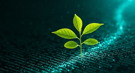 Green Sprout Emerging from a Page of Code: Concept of Sustainable Technology and Growth in the Digital Age