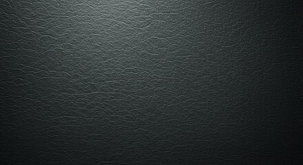 Poster - A black background with a few white lines