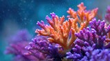 Vibrant coral reef clusters in shades of orange and pink.  Close-up view of intricate branching structures against a blurred blue-toned background.  Water droplets create a sense of movement and life