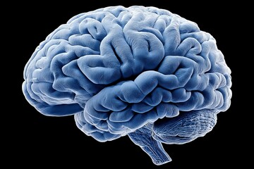 Poster - Detailed illustration of a human brain showcasing its intricate structure and neural connections in a striking design