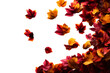© PNG King - Colorful autumn leaves falling against a transparent background