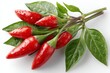 © ChaoticMind - Fresh red chili peppers with green leaves showcasing harvest time in a kitchen setting