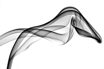 Poster - Elegant black and white smoke swirling gracefully in abstract formation, creating fluid lines and shapes