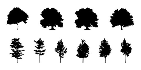 Aufkleber - silhouette tree line drawing set, Side view, set of graphics trees elements outline symbol for architecture and landscape design drawing. Vector illustration in stroke fill in white. Tropical