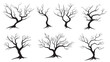 © MstAngor - Vector silhouette set of trees illustration showcases black branches and trunks against a design of nature's growth