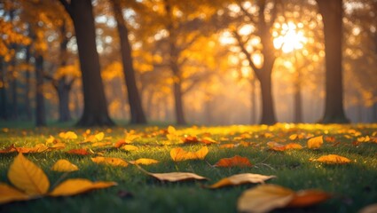 Aufkleber - Bright Autumn Landscape Showcasing Sunlight, Red and Orange Leaves, and Nature's Foliage