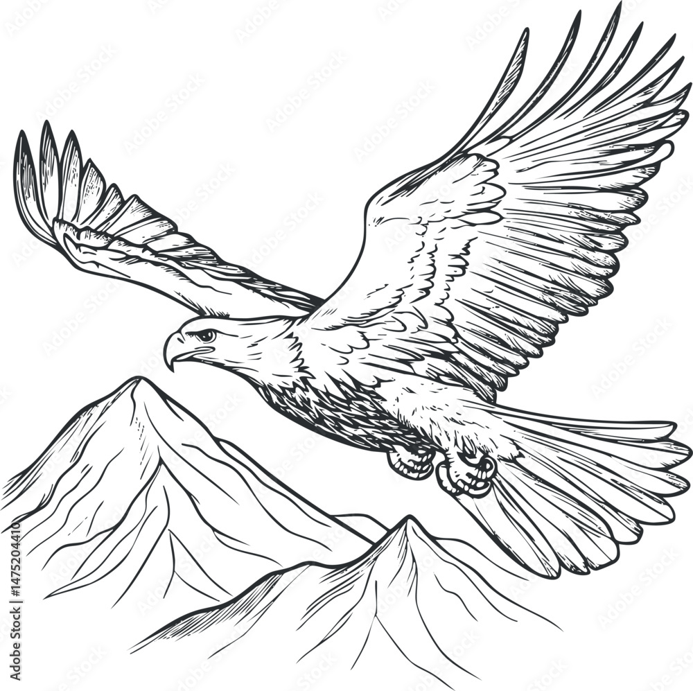 Black and white line art illustration of a majestic eagle flying over ...