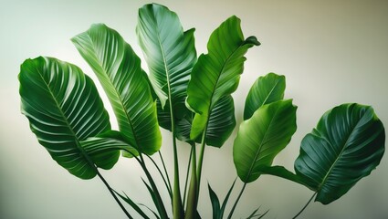 Wall Mural - Bright green leaves and stalk of a plant