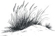 © vadymstock - Black and white illustration of wild grass growing on a sandy dune in a natural coastal environment.