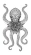 © Npicture - Ornate, decorative octopus design with intricate details.