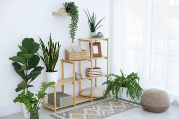 Poster - Shelving unit with different houseplants and decor indoors