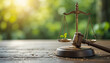 © Roman - A symbolic representation of justice features a gavel resting beside a wooden scale. One side holds a young plant, emphasizing the connection between law and environmental stewardship