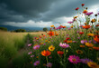 © soleg - A field of flowers against a stormy sky.