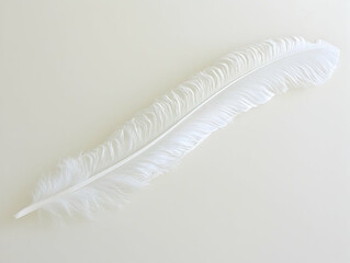 Wall Mural - single white ostrich feather on light background, minimalist design, perfect for wedding invitations
