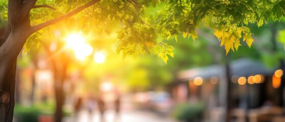 Poster - Sunlit Canopy on a Summer Day in Urban Park, Bokeh Background of People Strolling and Cafe, Low Angle