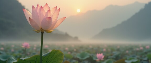 Aufkleber - Serene Lotus Flower in Bloom at Sunrise Over a Misty Lake with Distant Mountains