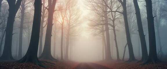 Poster - Ethereal forest path illuminated by soft light filtering through dense fog, creating a mystical and atmospheric woodland scene wit
