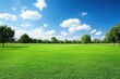 © Aether Pixels - Expansive Green Field Under a Bright Blue Sky with Puffy White Clouds Landscape View from Ground Level in Summer