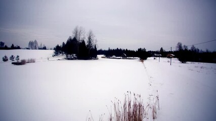Wall Mural - A wide winter landscape showing a snow-covered frozen field, scattered trees, and a distant forest, presented in a dynamic timelapse under a cold blue sky.