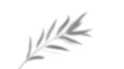 Leinwandbilder - Leaf shadow overlay effect mockup with blurred leaves and foliage branch creating natural artistic design for creative backgrounds and presentations