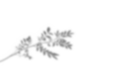 Fototapete - Leaf shadow overlay effect mockup with blurred leaves and foliage branch creating natural artistic look for design backgrounds and creative presentations