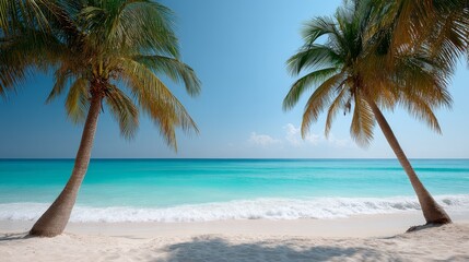Poster - Leaning palm trees frame a breathtaking tropical coastline, where the turquoise ocean meets the white sand shore under bright sunlight, creating a serene atmosphere