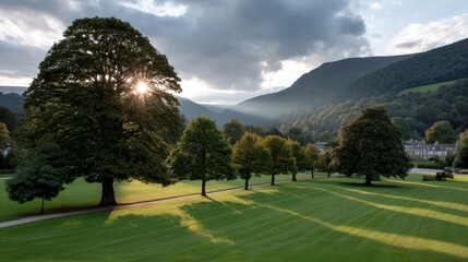 Aufkleber - Golden rays of sunlight pierce through soft clouds, lighting up a misty meadow filled with vibrant trees and creating an atmosphere of renewal and hope at sunrise