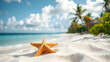 © Jessica - Starfish on the summer beach. Summer background. Tropical sand beach