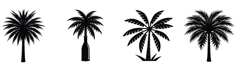 silhouette of palm tree vector