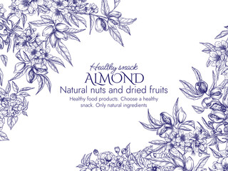vector frame with a branch of blooming almonds in engraving style. graphic banner with nuts on a tre