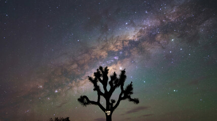 Wall Mural - Panorama of Milky Way galaxy in the night sky