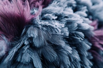 Poster - Colorful textured feathers create a vibrant display in fashion design and artistic projects