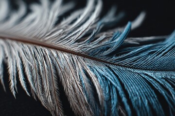 Fototapete - Elegant feather showcasing intricate textures and vibrant colors in a close-up view against a dark background