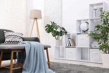 Poster - Stylish living room with shelving unit, sofa and green houseplants