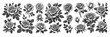 © Oleksandr Pokusai - rose flower Set collection bundle sketch engraving generative ai vector illustration. Scratch board imitation. Black and white image.
