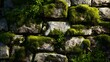 © Grazielle - Moss and foliage cover a stone wall, blending natural elements with texture of the hard material.