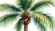 © GIFTE - a watercolor infused illustration of a palm tree, its vibrant green fronds swaying in the gentle breeze, against a crisp white backdrop.
