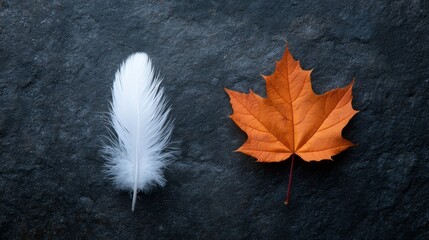 Poster - A delicate white feather lies next to a vibrant orange maple leaf on a dark textured surface, illuminated by gentle ambient light to create a serene composition