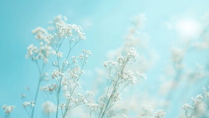 frost on grass