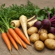 © DanadyaksaDen - Freshly Harvested Root Vegetables on Burlap